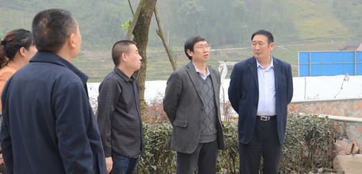 李首成副主任一行到宝兴县调研农房重建和产业发展