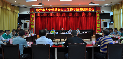 市人大常委会启动人大工作专题调研活动