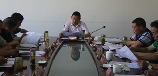 芦山县人大常委会党组学习贯彻中共中央18号文件精神