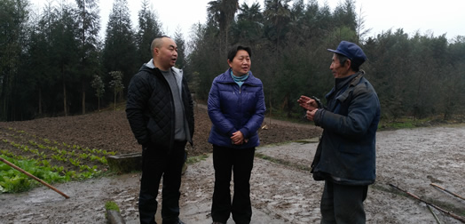 吴志君副主任到芦山县太平镇春光村督查脱贫攻坚工作