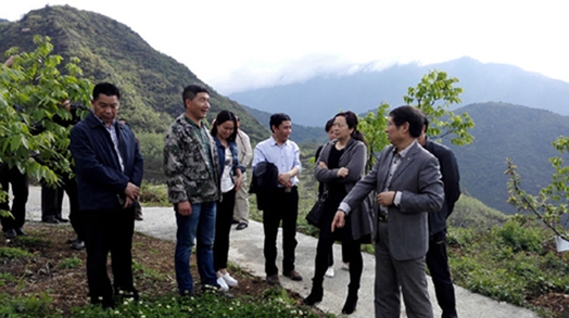 李首成副主任一行到石棉县调研农村土地流转发展适度规模经营情况