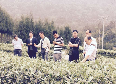 李首成副主任率调研组到芦山县调研茶叶发展情况