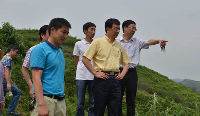 李伊林主任到汉源县晒经乡调研农旅融合发展情况