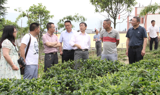 李首成副主任率调研组到荥经县开展雅茶产业专题询问前期调研
