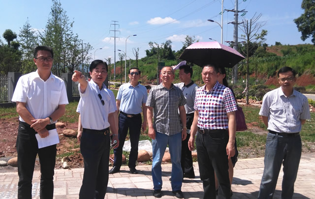 市人大财经委调研飞地园区（经开区）建设发展情况