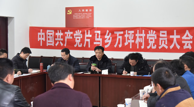 李伊林在万坪村开展脱贫攻坚调研指导工作