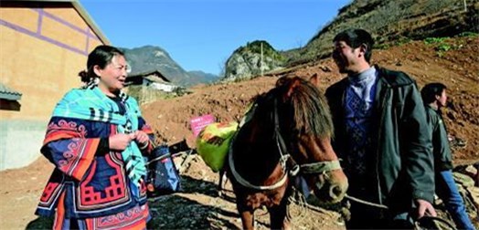 全国人大代表骆云莲:从天梯上的村庄到人民大会堂