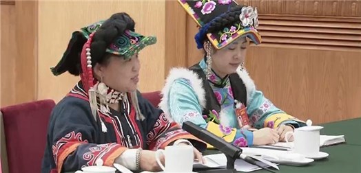 全国人大代表骆云莲——总书记和我聊国是（五）