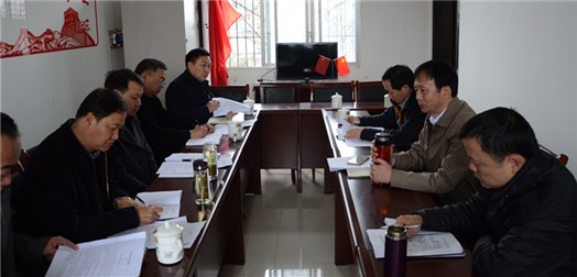 李伊林到名山区调研农村公路情况