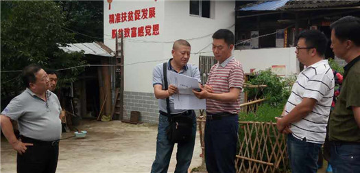 李勇率队开展稳定经济增长和脱贫攻坚专项督导
