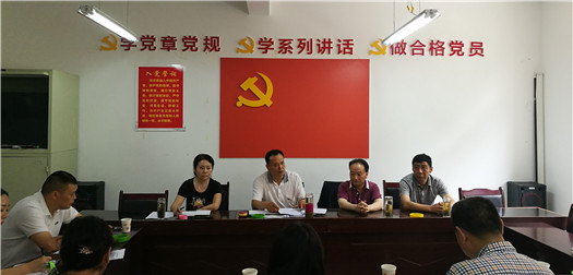 李毅到雨城区开展党代会专项督导