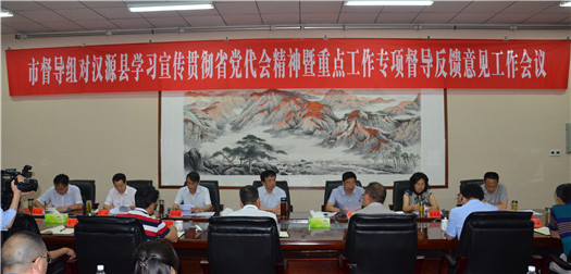 精准制定整改措施 确保整改点到穴位 市第七督导组在汉源县召开专项督导反馈意见工作会