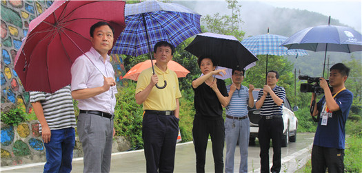 李伊林赴石棉县开展调研时指出--充分发挥人大代表 在脱贫攻坚中的作用