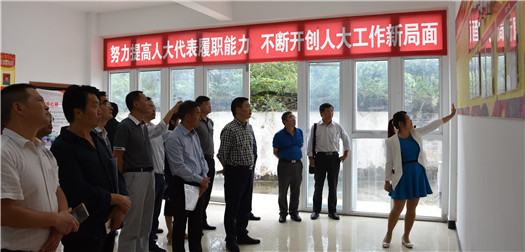 强化规范化建设和代表工作推动乡镇人大工作健康有序发展