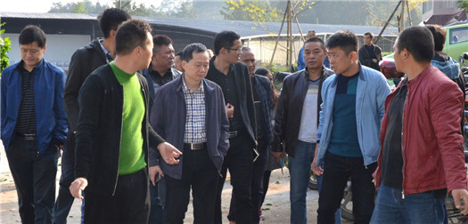 罗强赴名山区调研产业发展和专合组织建设情况