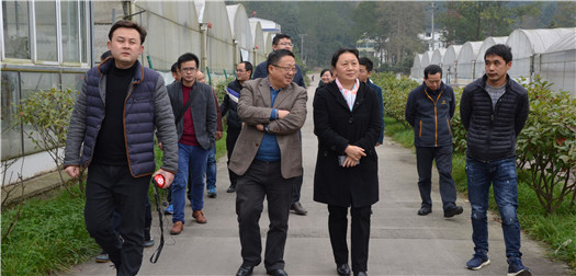 市人大常委会开展“学习十九大，永远跟党走”主题党日活动
