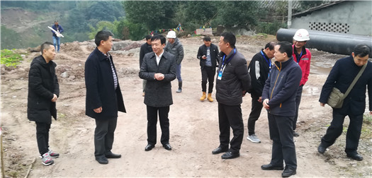 李伊林一行调研南郊水厂引水工程