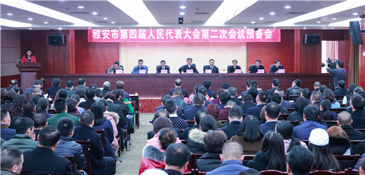 市四届人大二次会议举行预备会议
