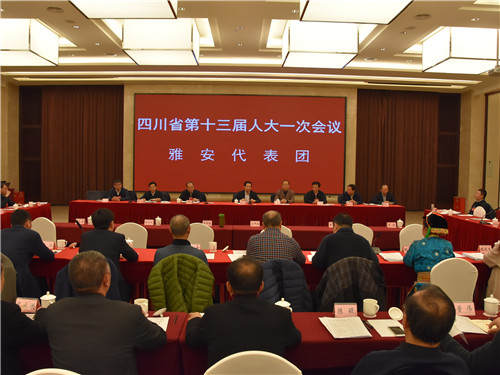 陈光志看望雅安代表团代表时殷切寄语--忠诚履职 为民代言