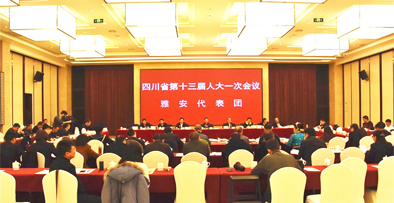 省人代会雅安代表团举行第六、七次会议--继续审查各项报告