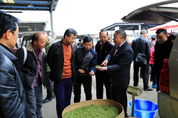 彭学松到名山调研春茶鲜叶交易情况