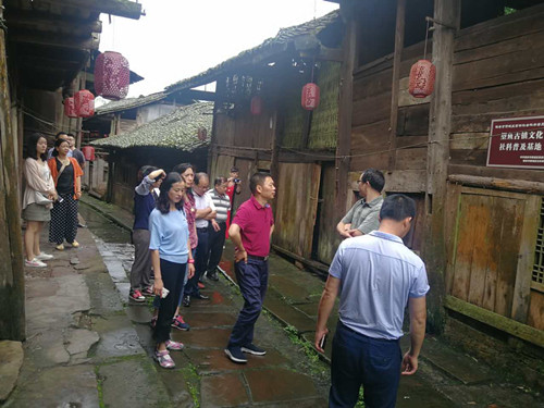 李勇一行深入雨城区调研历史文化名城名镇名村工作
