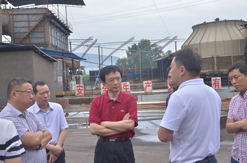 李伊林一行调研永兴镇化工企业生产经营和污染防治工作情况