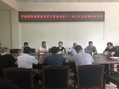 李毅赴雨城区望鱼乡宣讲省委十一届三次全会精神