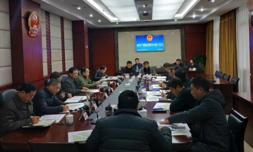 市人大常委会主任、市林竹产业推进领导小组组长李伊林主持召开工作推进会