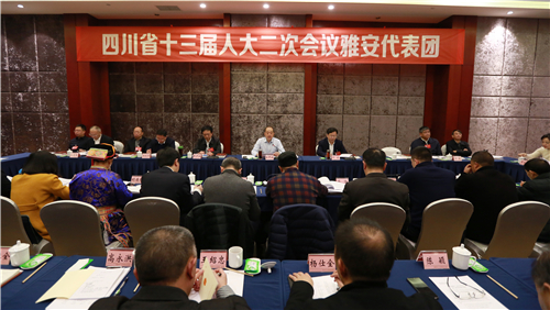 关于省十三届人大二次会议，雅安代表团最重要信息都在这里了