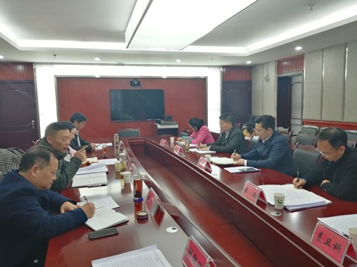 李勇率队督导民生实事票决制项目推进情况