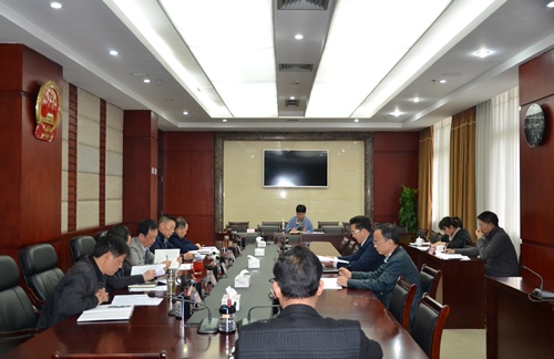 李伊林专题听取民生实事票决制项目推进情况