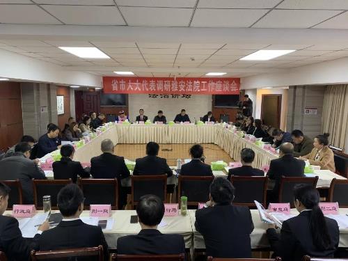 省、市人大代表集中视察调研雅安法院工作