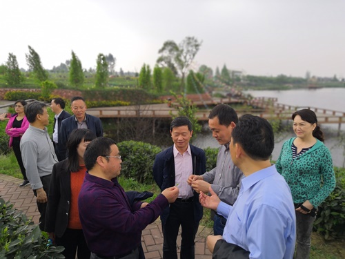广西人大外侨委考察名山乡村旅游工作