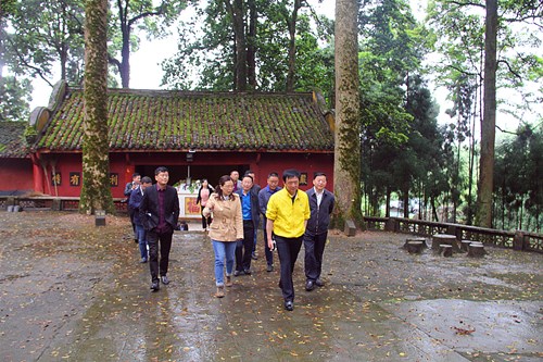 李伊林到荥经调研古树名木保护及产业发展  厚植生态本底 全面推动乡村振兴和绿色产业发展