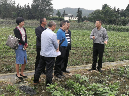 李勇在芦山县调研民生实事人大代表票决制工作—强化政治意识    确保项目落实