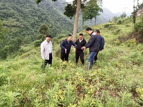 李勇率队深入荥经县新添镇调研产业发展等工作