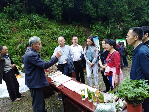 省人大常委会委员、法制委主任委员刘达贵一行来雅安开展《四川省中医药条例（修订草案）》立法调研
