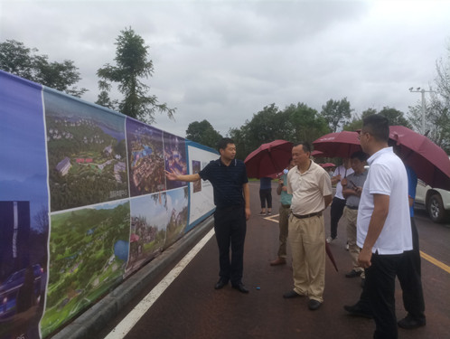 李毅赴雨城区调研康养旅游项目