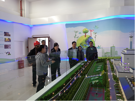 杨兴品调研市生活垃圾焚烧环保发电厂试运行和“雨名”快速通道工程施工进展情况