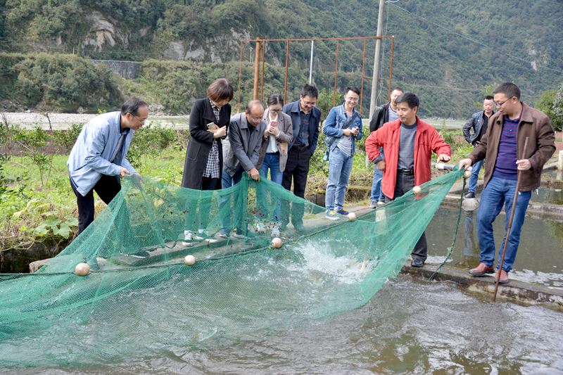 市人大法制委到石棉县调研野生鱼类保护工作