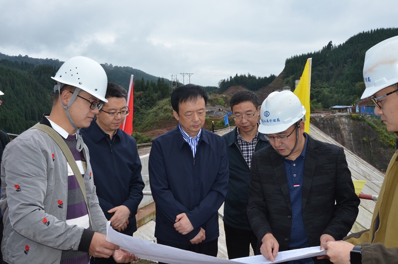 加大项目建设管理力度 最大程度保障优质水源供给 李伊林赴雨城区调研九龙水库工程