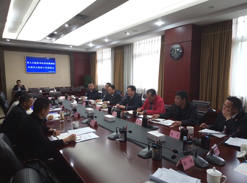 省人大监察司法委来雅调研未成年人检察工作
