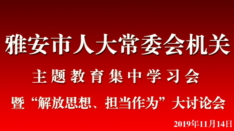 市人大常委会机关召开主题教育集中学习会暨“解放思想、担当作为”大讨论会议