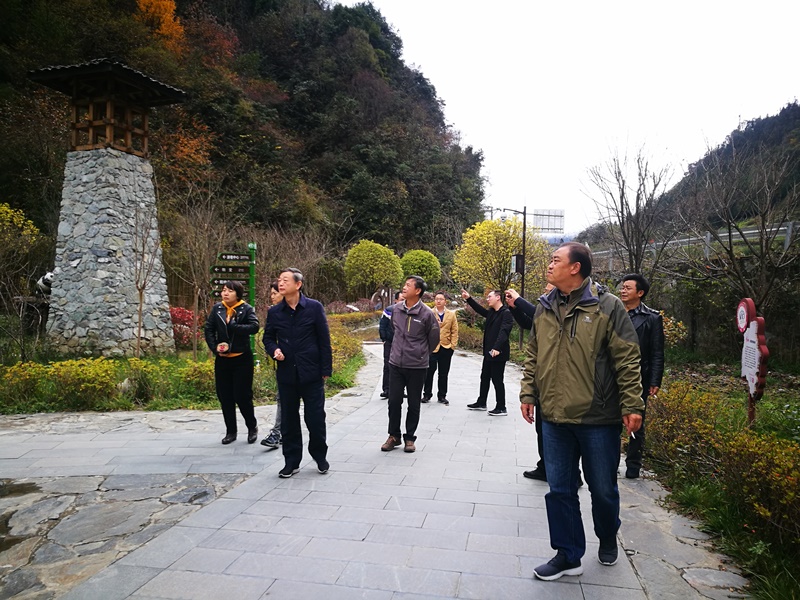 山西省人大社会委副主任委员杨临生来雅调研养老服务工作