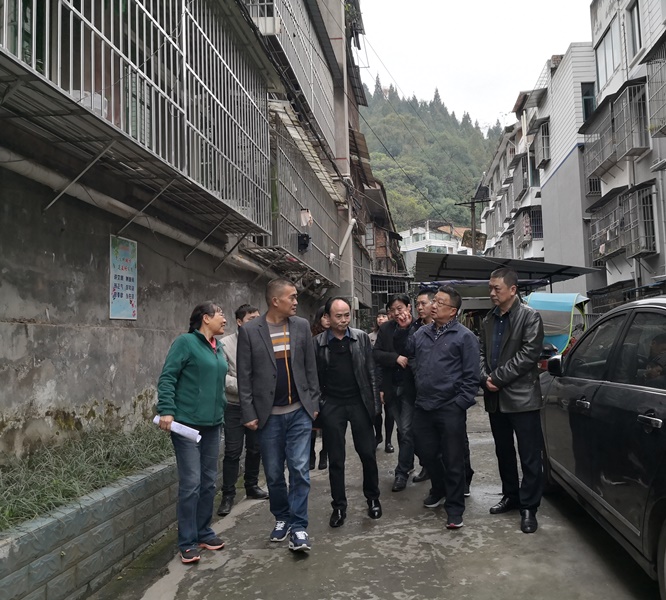 刘平到华新街社区督导“双创”工作