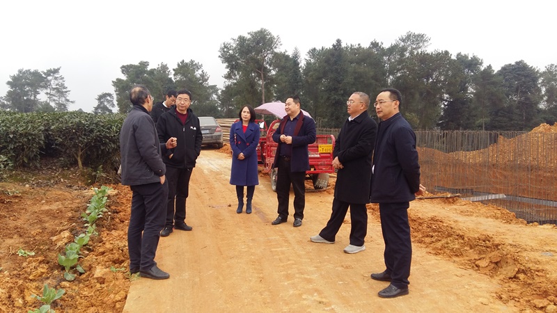 杨兴品到名山区调研畜禽养殖污染治理和有机肥加工项目推进情况