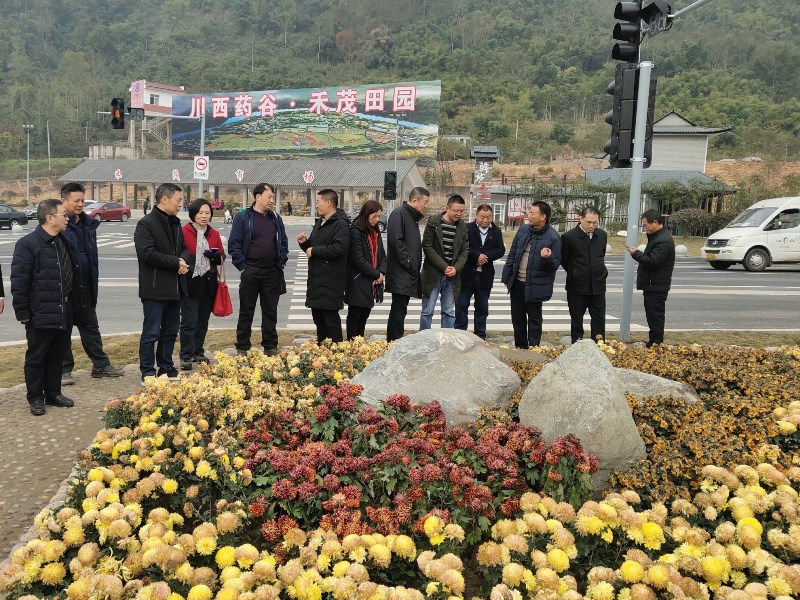 广州市天河区人大常委会副主任金卫一行来雅考察交流基层人大工作