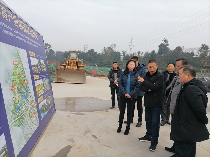 李勇率队跟踪调研文化体育产业推进情况