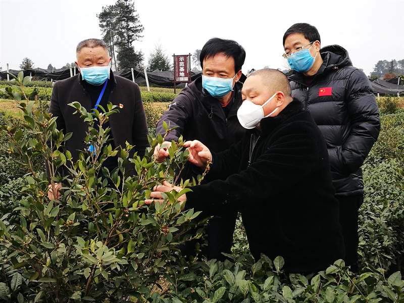 统筹抓好疫情防控与经济社会秩序恢复 李伊林赴名山调研督导疫情防控和复工复产